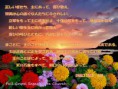 /album/%e8%8a%b1%e3%81%bf%e3%81%93%e3%81%a8%e3%81%b0/psalms-33-3-6-jpg/